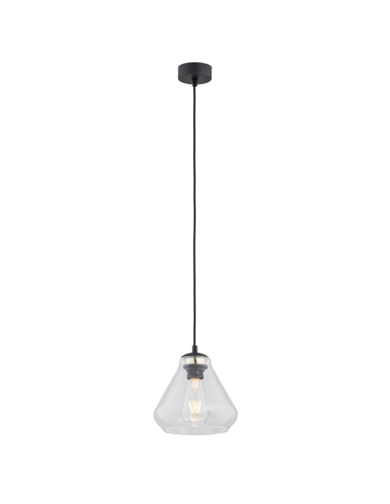 Single pendant lamps - Argon DECORATO 1 fl. pendant lamp 1x15W (max) transparent matte black 4047 - product kolory-swiatla.pl 1