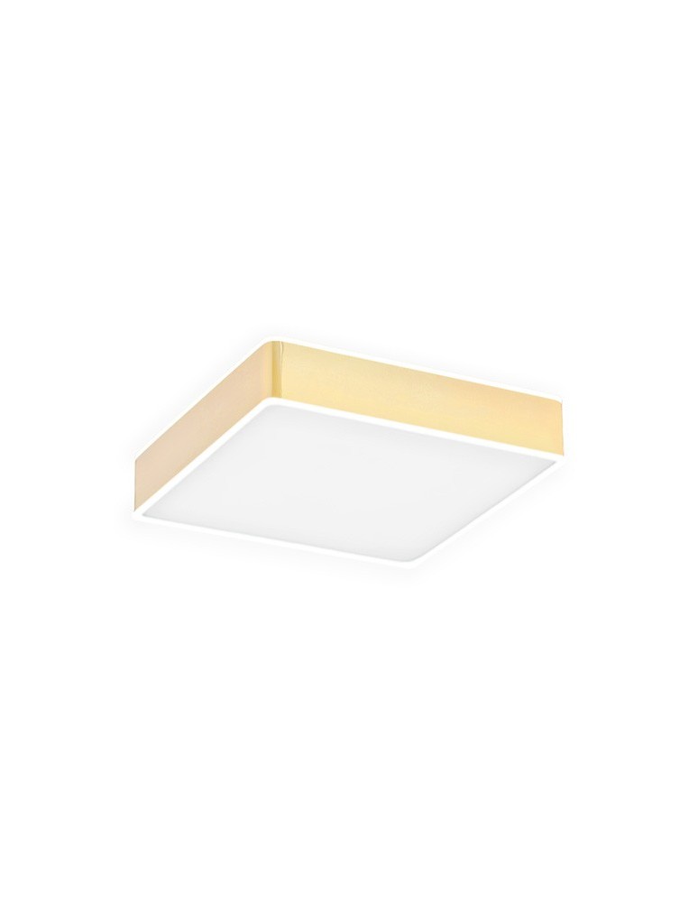 LED Plafonds - Argon ATLANTIS LED plafond medium 1x32W gold gloss white finish 4051 - product kolory-swiatla.pl 1