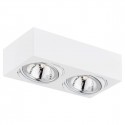 Argon RODOS plafon 2 pł. 2x6W LED (max) biały struktura 581