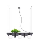 Pendant lamps over the island - Zuma Line PLANT SHELF pendant lamp black/black - product 4