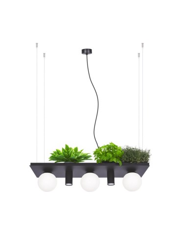 Zuma Line PLANT SHELF pendant lamp black/black - product 2