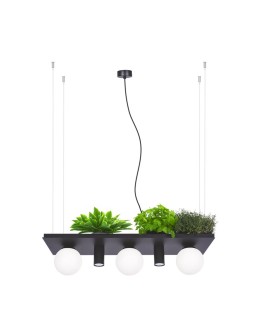 Zuma Line PLANT SHELF lampa wisząca czarna/black - produkt 2