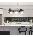 Pendant lamps over the island - Zuma Line PLANT SHELF pendant lamp black/black - product 6