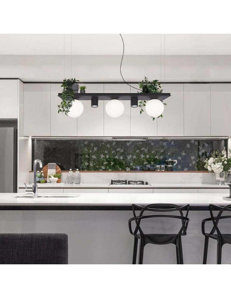 Pendant lamps over the island - Zuma Line PLANT SHELF pendant lamp black/black - product kolory-swiatla.pl 6