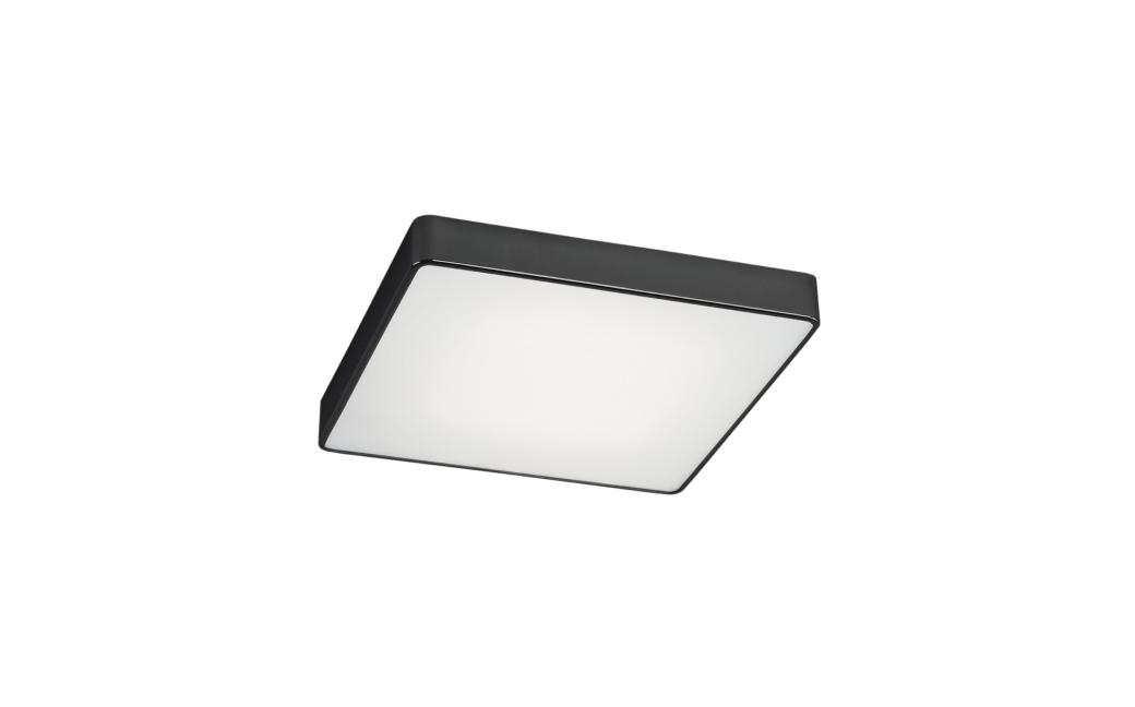 Argon ONTARIO LED plafon mały led 1x18.5W czarny struktura 3575