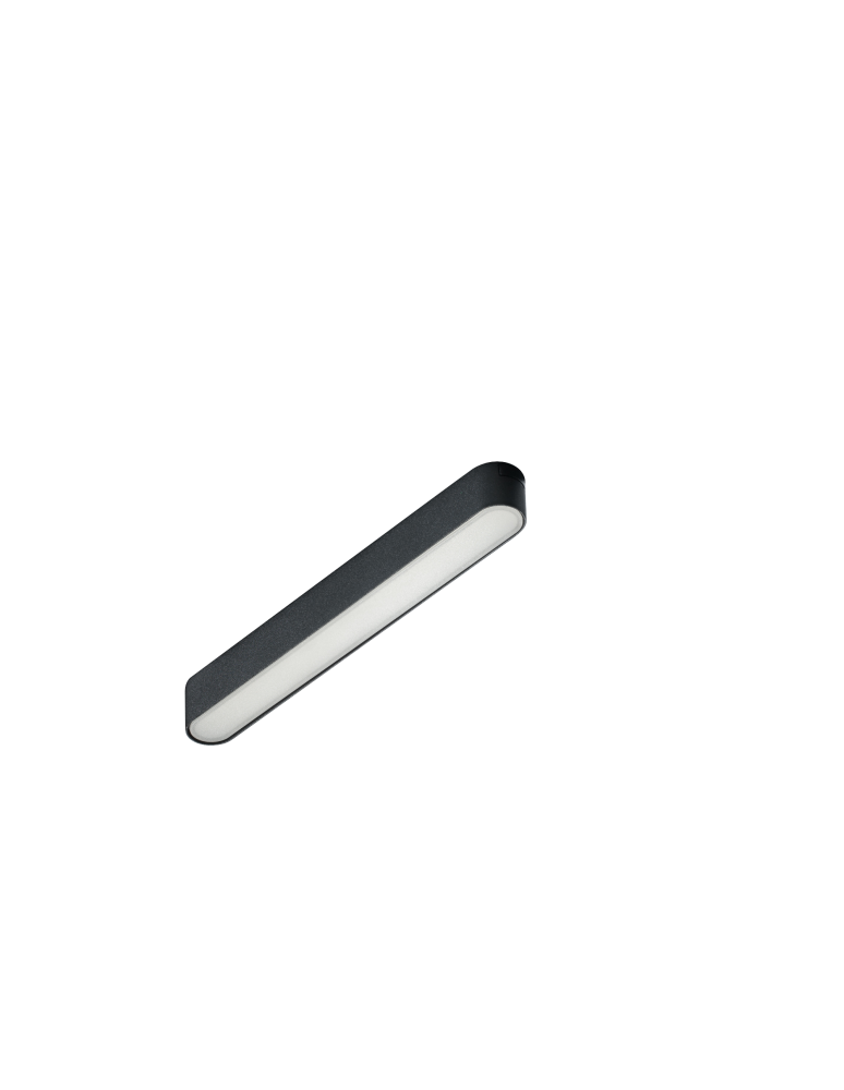 Magnetic rail lamps - Azzardo GAMMA SANGRIA MILKY TRACK MAGNETIC 5mm 12W CCT BLUETOOTH BK Magnetic Rail Light AZ5271 - product kolory-swiatla.pl 1