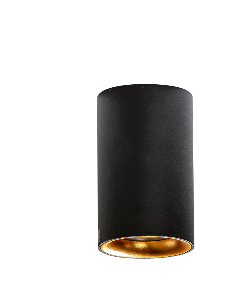 Bathroom ceiling lamps - Azzardo EIGER IP54 BK/GO Surface Mounted Lamp IP54 Black/Gold AZ4261 - product kolory-swiatla.pl 2