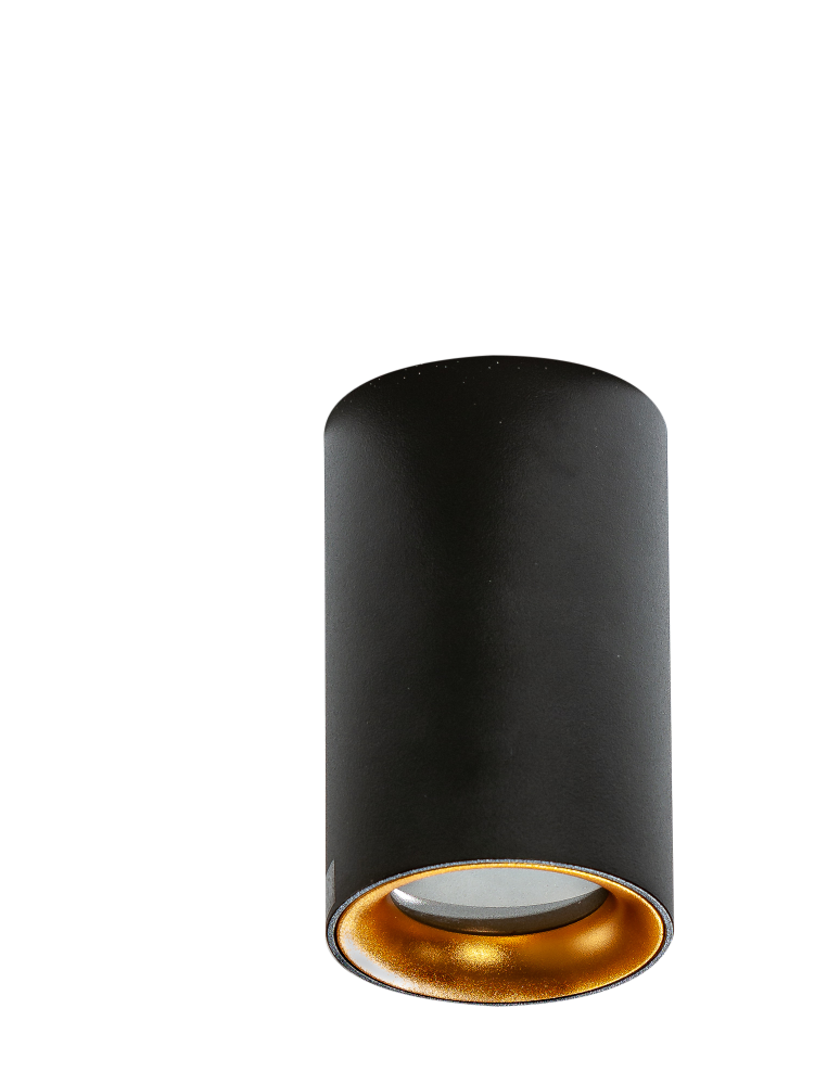 Bathroom ceiling lamps - Azzardo EIGER IP54 BK/GO Surface Mounted Lamp IP54 Black/Gold AZ4261 - product kolory-swiatla.pl 1