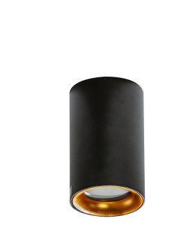 Azzardo EIGER IP54 BK/GO Lampa Natynkowa IP54 Czarny/Złoty AZ4261