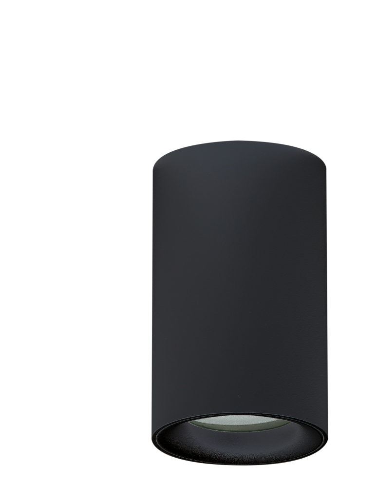 Bathroom ceiling lamps - Azzardo EIGER IP54 BK Surface Mounted Lamp IP54 Black AZ4260 - product kolory-swiatla.pl 2