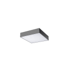 Plafonds with remote control - Azzardo MONZA S 30 CCT + REMOTE CONTROL (BK) Surface Mounted Lamp Black AZ4773 - product 1