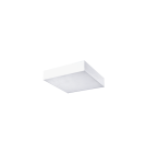 Plafonds with remote control - Azzardo MONZA S 30 CCT + REMOTE CONTROL (WH) Surface Mounted Lamp White AZ4772. - product 1