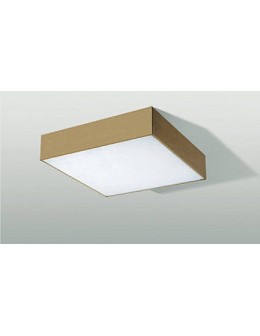 Azzardo MONZA S 40 CCT + REMOTE CONTROL (CHA) Surface Mounted Lamp Champagne AZ4774.