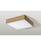 Plafonds with remote control - Azzardo MONZA S 30 CCT + REMOTE CONTROL (CHA) Surface Mounted Lamp Champagne AZ4771 - product 1