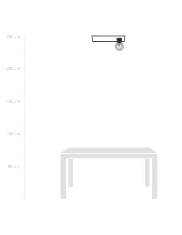 Emibig IMAGO 1A BLACK/GRAFIT LAMPA SUFITOWA CZARNY 1131/1A - produkt 2