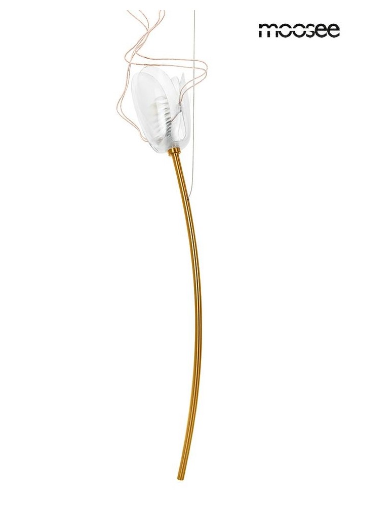 Designer pendant lamps - MOOSEE TULIPPE 7 DISC gold pendant lamp (MSE1501100170) - product kolory-swiatla.pl 4