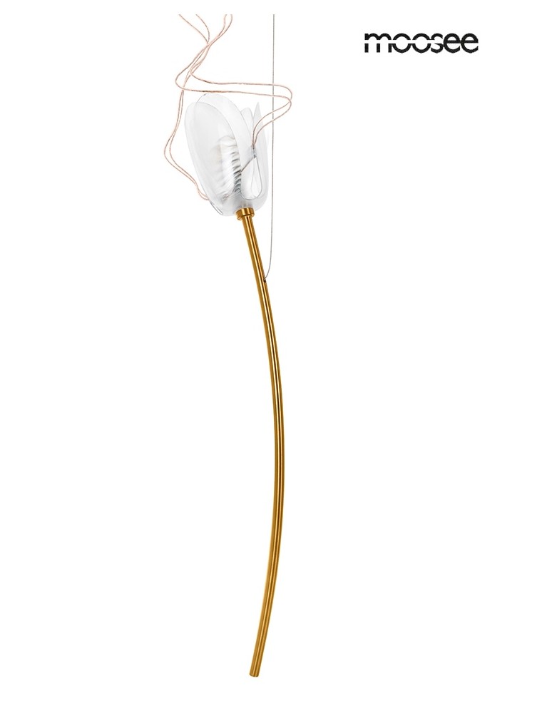 Designer pendant lamps - MOOSEE TULIPPE 14 DISC gold pendant lamp (MSE1501100171) - product kolory-swiatla.pl 4