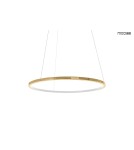 Pendant lamps circles - MOOSEE RING SLIM 40 gold pendant lamp (MSE1501100155) - product 1