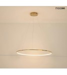Pendant lamps circles - MOOSEE RING SLIM 80 gold pendant lamp (MSE1501100157) - product 7