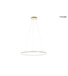 Pendant lamps circles - MOOSEE RING SLIM 60 gold pendant lamp (MSE1501100156) - product 5