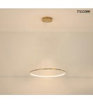 Pendant lamps circles - MOOSEE RING SLIM 60 gold pendant lamp (MSE1501100156) - product 7