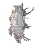 Designer wall lamps - Step into Design AQUA L LED 65cm wall lamp ST-8658W-L - product 1