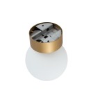 Ceiling lamps spheres - Nowodvorski KIER S Ceiling Plafond/Surround Max wattage 12W G9 Satin Gold 10623 - product 4