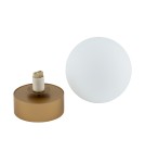 Ceiling lamps spheres - Nowodvorski KIER S Ceiling Plafond/Surround Max wattage 12W G9 Satin Gold 10623 - product 5