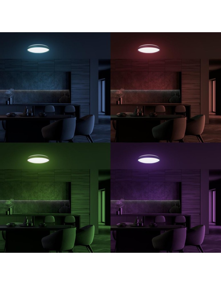 Plafonds with remote control - Milagro Plafondier RINGO RGB 36W Ø390 mm ML9965 - product kolory-swiatla.pl 4