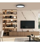 Plafonds with remote control - Milagro Plafondier RINGO RGB 36W Ø390 mm ML9965 - product 5