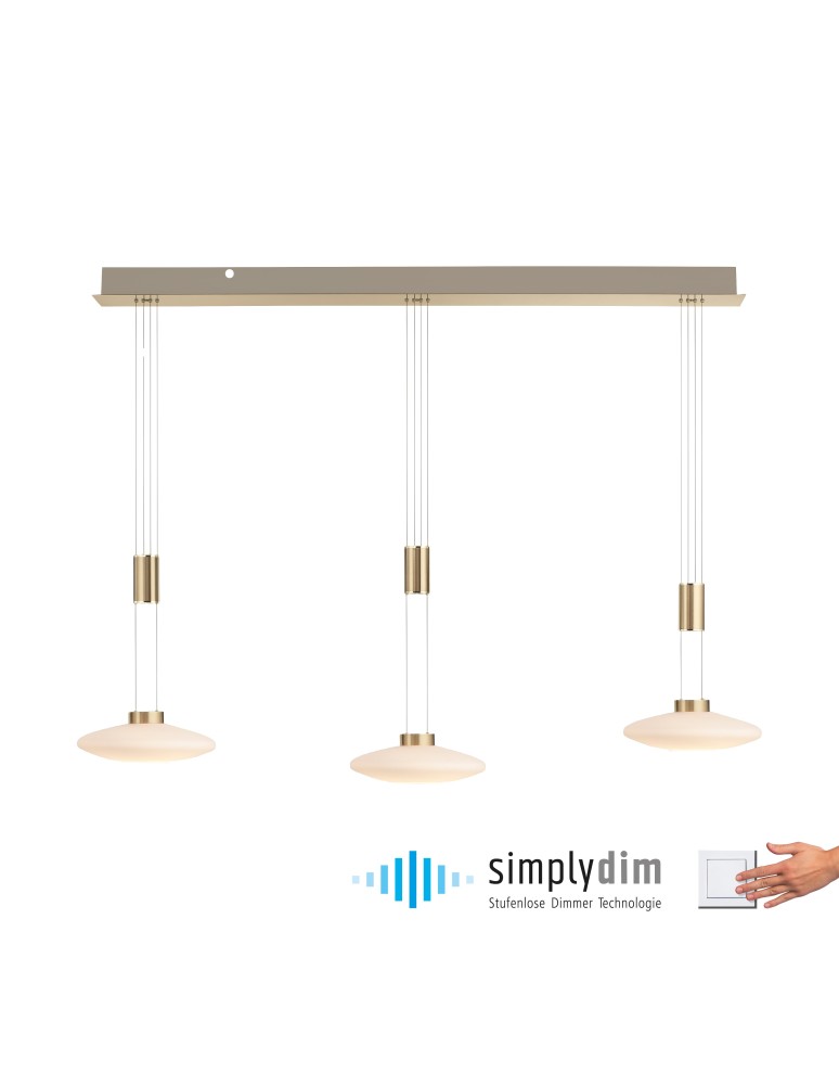 Pendant lamps with adjustable height - Paul Neuhaus Lautada Pendant on Rail Adjustable Height 120-200cm Dimmable Smooth Ordinary Switch Brass Mat 2081-60 - product kolory-swiatla.pl 1