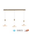 Paul Neuhaus Lautada Pendant on Rail Adjustable Height 120-200cm Dimmable Smooth Ordinary Switch Brass Mat 2081-60