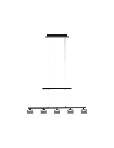 Paul Neuhaus Hydra Pendant Adjustable Height 103-180cm Black 2209-18
