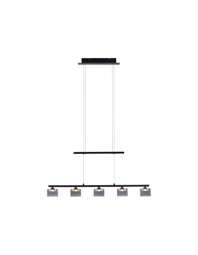 Pendant lamps on a strip - Paul Neuhaus Hydra Pendant Adjustable Height 103-180cm Black 2209-18 - product kolory-swiatla.pl 1
