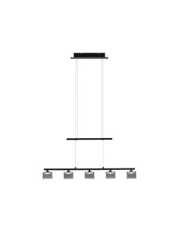 Paul Neuhaus Hydra Pendant Adjustable Height 103-180cm Black 2209-18