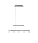 Pendant lamps on a strip - Paul Neuhaus Hydra Pendant Adjustable Height 103-180cm Silver / Transparent 2209-55 - product 1