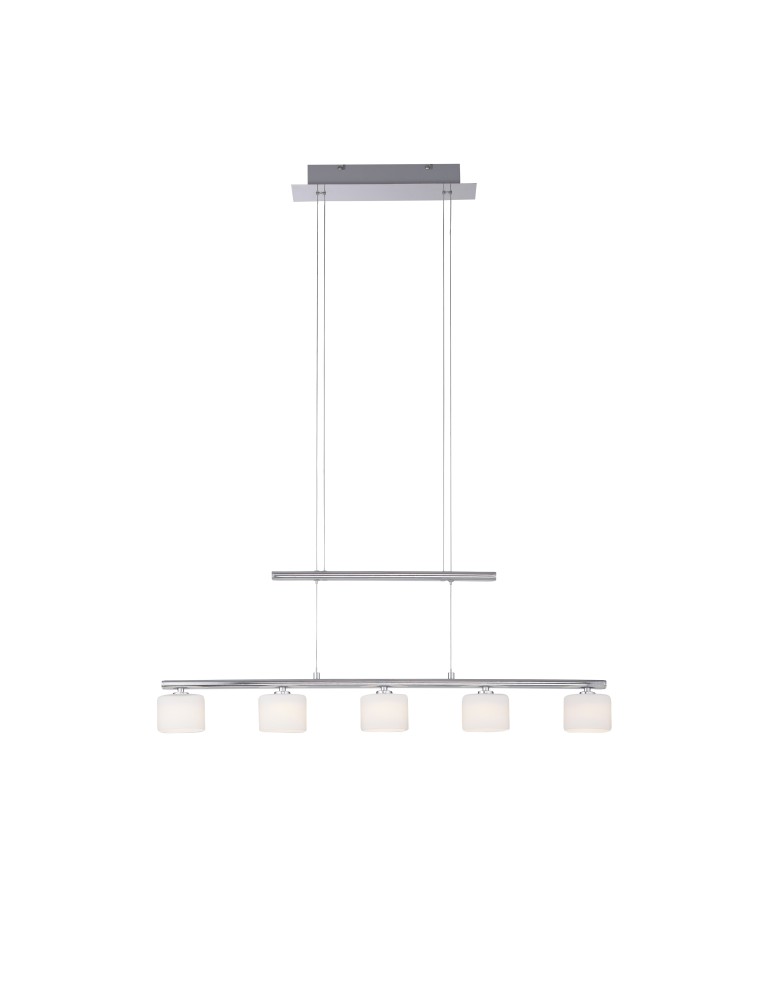 Pendant lamps on a strip - Paul Neuhaus Hydra Pendant Adjustable Height 103-180cm Silver / Transparent 2209-55 - product kolory-swiatla.pl 1