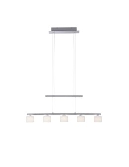 Paul Neuhaus Hydra Pendant Adjustable Height 103-180cm Silver / Transparent 2209-55