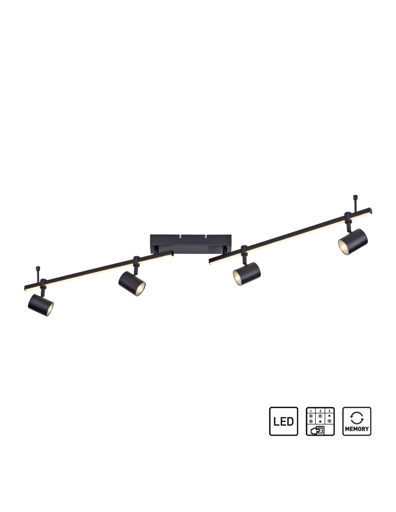 Ceiling lamps - Paul Neuhaus Barik Ceiling Lamp Black 6525-18 - product kolory-swiatla.pl 1