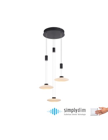Paul Neuhaus Lautada Pendant Round Adjustable Height 120-200cm Dimmable with Smooth Ordinary Switch Black 2082-18