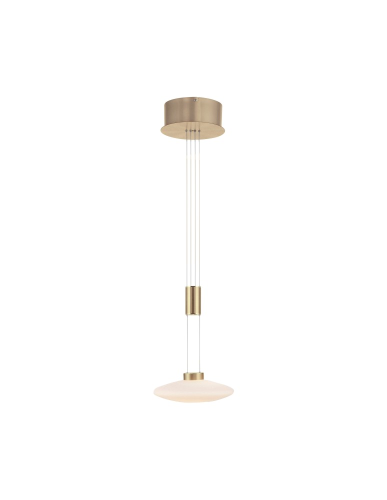 Pendant lamps - Paul Neuhaus Lautada Pendant Adjustable Height 120-200cm Fluid Dimmable Ordinary Switch Brass Mat 2080-60 - product kolory-swiatla.pl 1