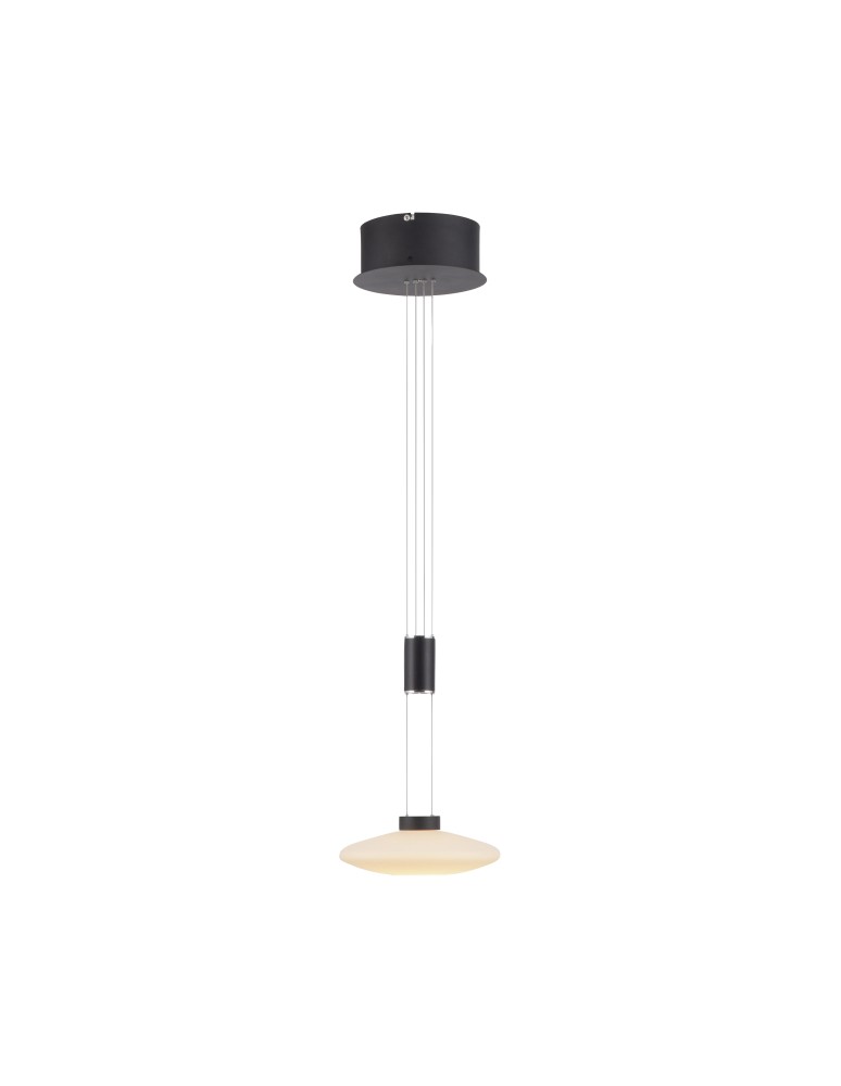 Pendant lamps - Paul Neuhaus Lautada Pendant Adjustable Height 120-200cm Fluidly Dimmable with Ordinary Switch Black 2080-18 - product kolory-swiatla.pl 1