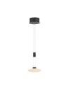 Paul Neuhaus Lautada Pendant Adjustable Height 120-200cm Fluidly Dimmable with Ordinary Switch Black 2080-18