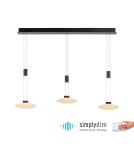 Pendant lamps with adjustable height - Paul Neuhaus Lautada Pendant on Rail Adjustable Height 120-200cm Dimmable Smooth Ordinary Switch Black 2081-18 - product 1