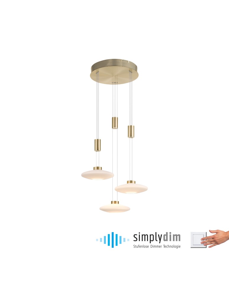 Pendant lamps - Paul Neuhaus Lautada Pendant Round Adjustable Height 120-200cm Dimmable with Smooth Ordinary Switch Brass Mat 2082-60 - product kolory-swiatla.pl 1