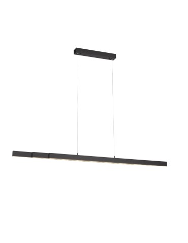 Paul Neuhaus Luzi Extension Pendant Lamp 100-180cm Over Table Anthracite 11660-13