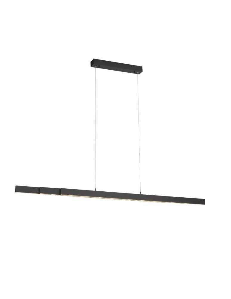 Pendant lamps over desk - Paul Neuhaus Luzi Extension Pendant Lamp 100-180cm Over Table Anthracite 11660-13 - product kolory-swiatla.pl 1