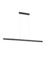 Paul Neuhaus Luzi Extension Pendant Lamp 100-180cm Over Table Anthracite 11660-13