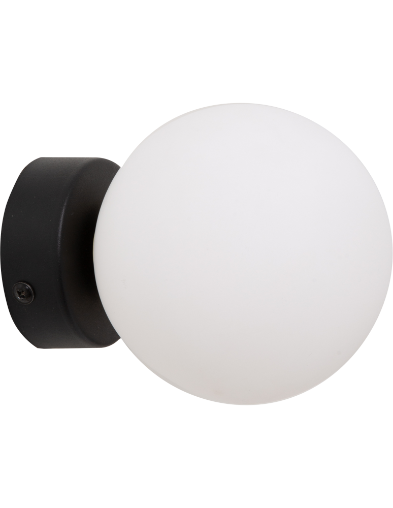 Wall lamps - Zuma Line Ali Wall Lamp Black 5647 - product kolory-swiatla.pl 1