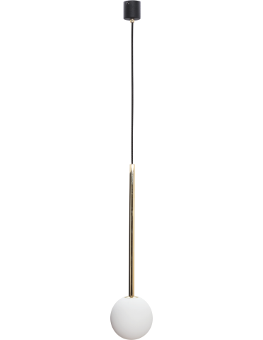 Zuma Line Ali Pendant Lamp Black / Gold 5639